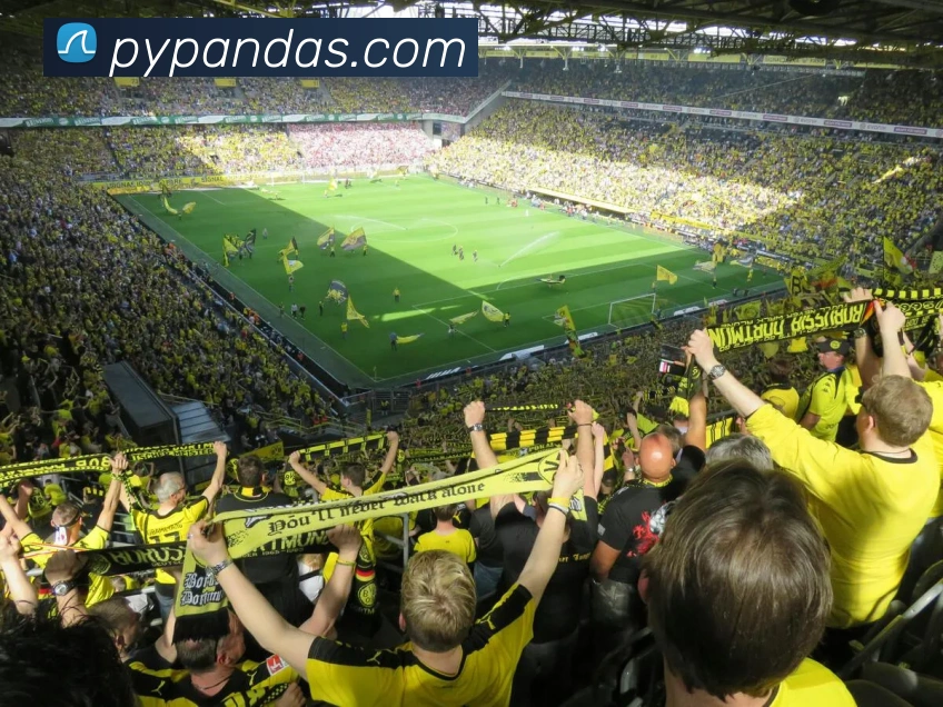 世界杯平台官网登录服务体系